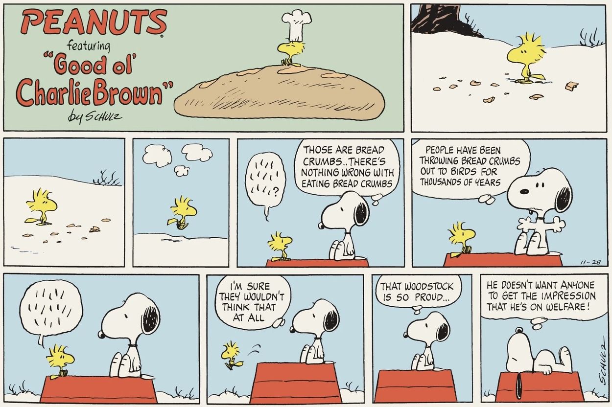 10 Peanuts Jokes We Only Got As Adults