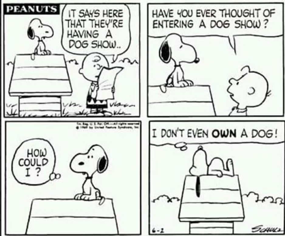 Las mejores tiras cómicas de Peanuts con Snoopy