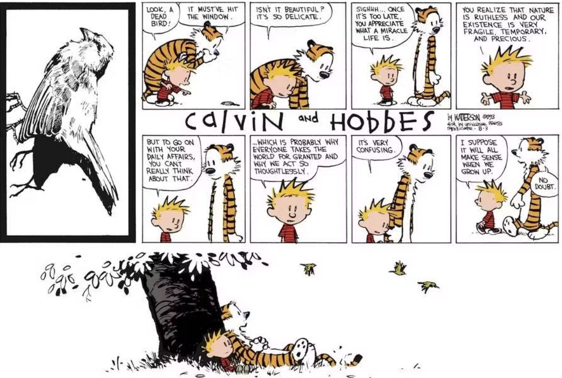 Calvin and Hobbes find a dead bird causing Calvin to monologue about life's fragile nature.