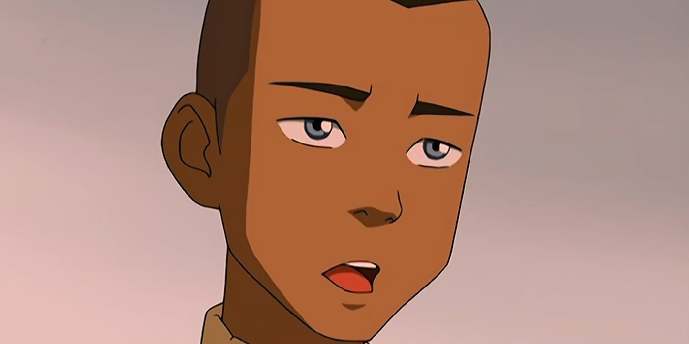 Los mejores momentos de Sokka en Avatar The Last Airbender, clasificados