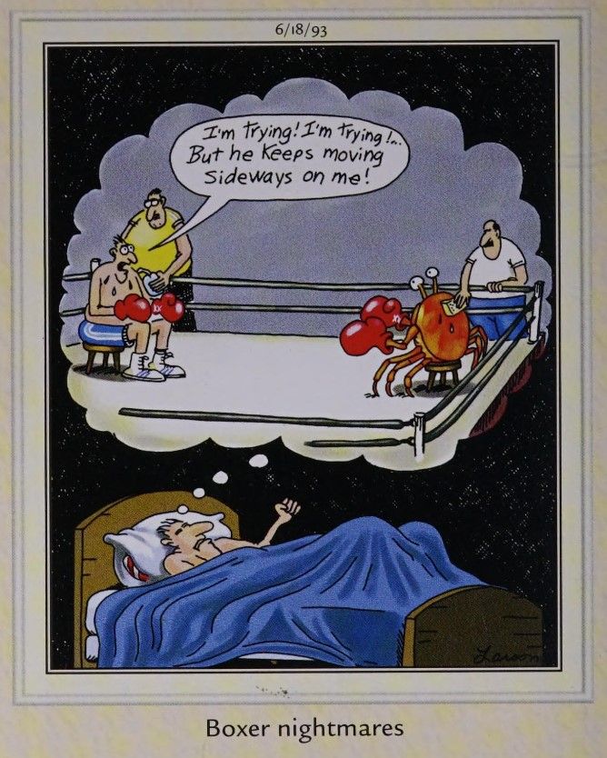 15 Funniest The Far Side Comics