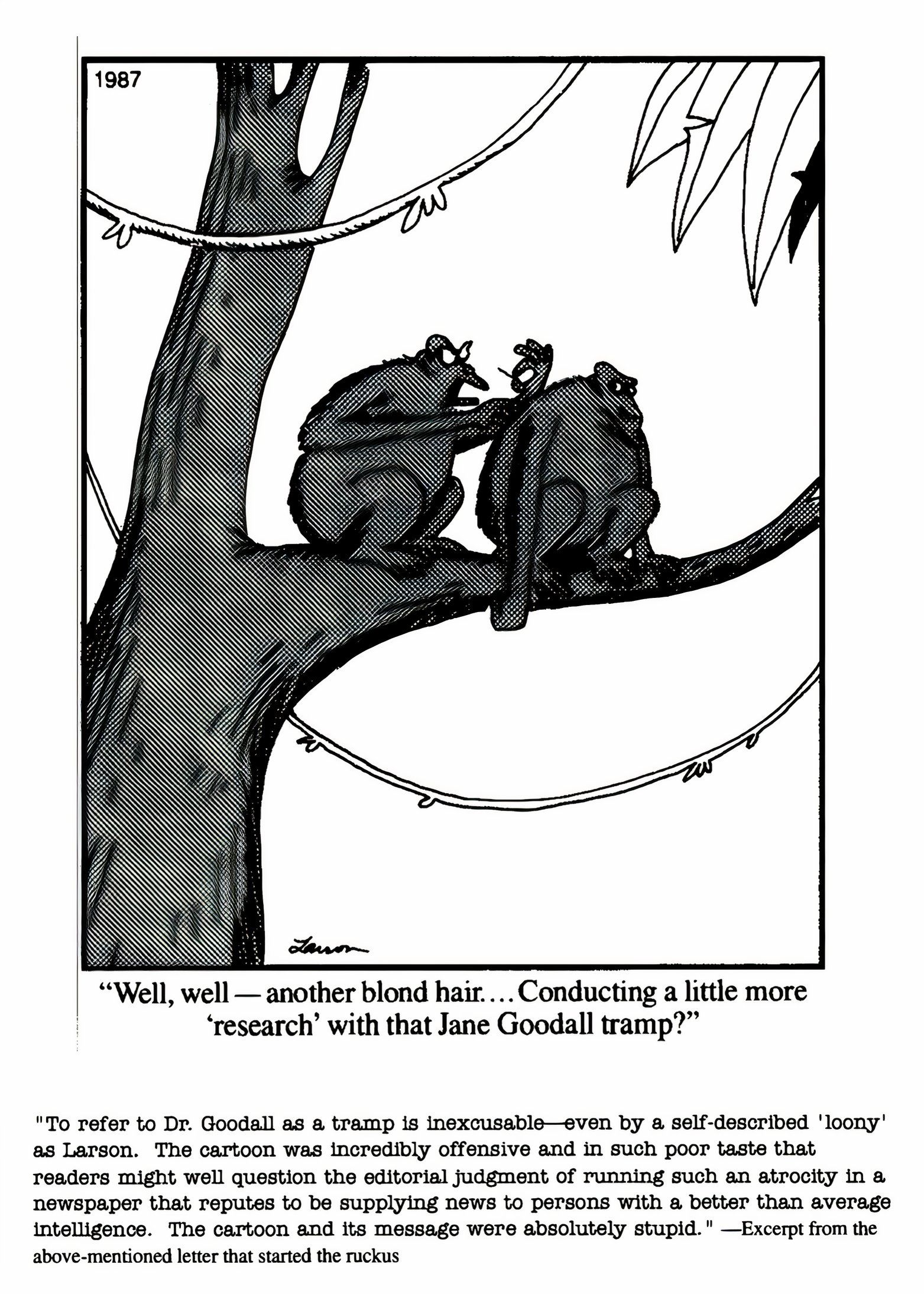 10 Best The Far Side Comics That Inspired Angry Letters, Ranked