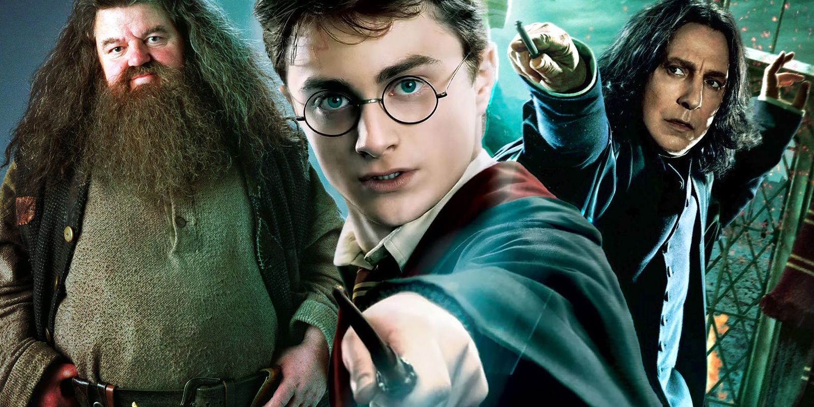 13 Best Male Harry Potter Characters