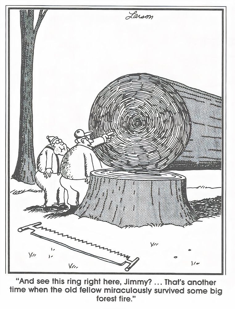 10 Deepest The Far Side Comics