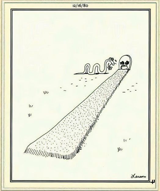 10 Deepest The Far Side Comics