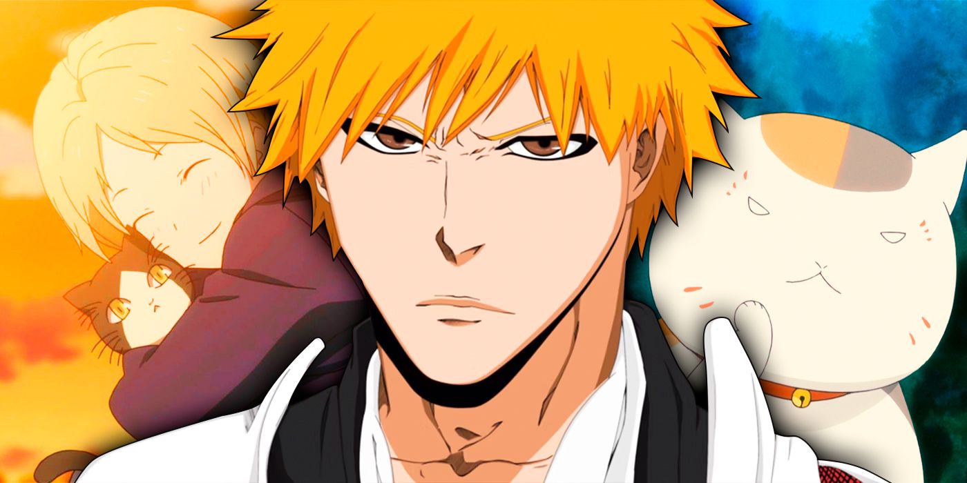 Takashi Natsume and Nyanko-Sensei with Ichigo Kurosaki in the center