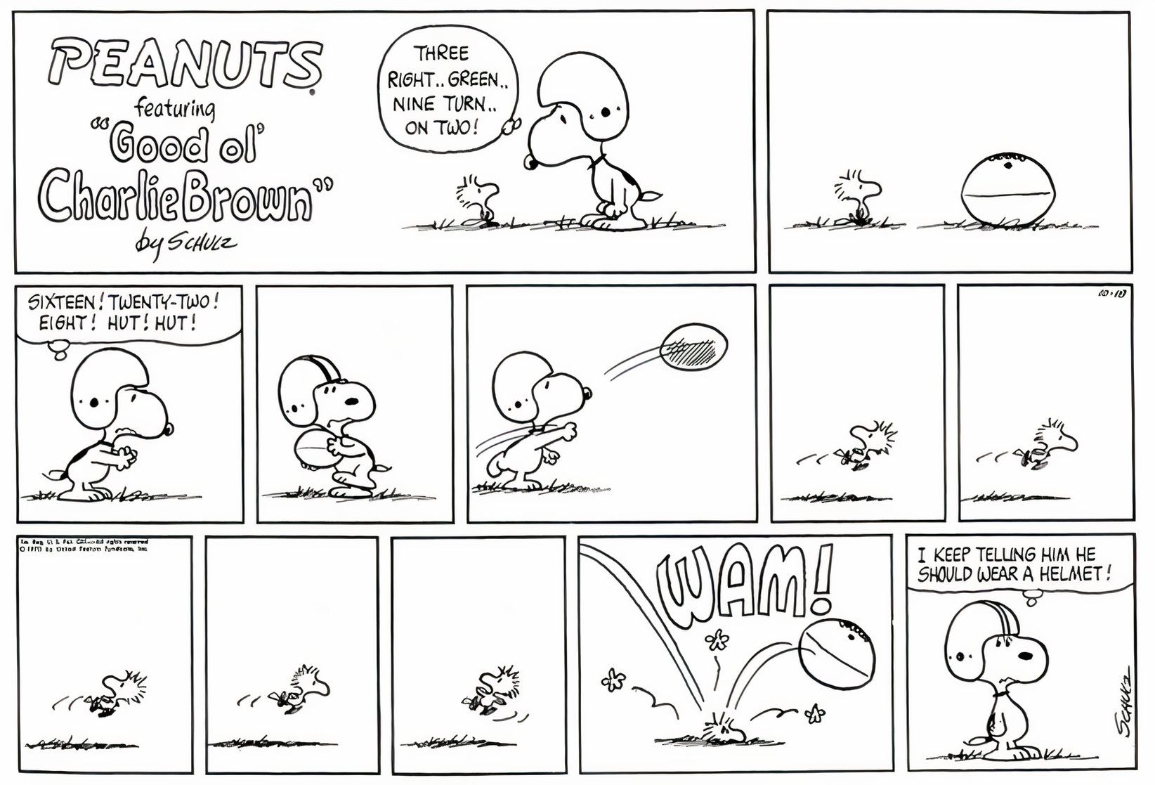 Las 10 mejores tiras cómicas de Woodstock Peanuts, clasificadas