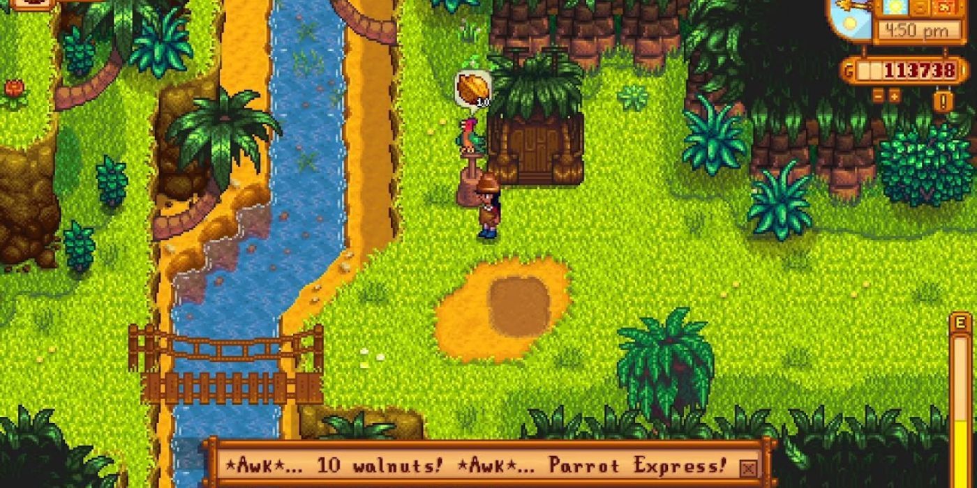 Um jogador fala com um papagaio para andar no Parrot Express na Ginger Island em Stardew Valley.