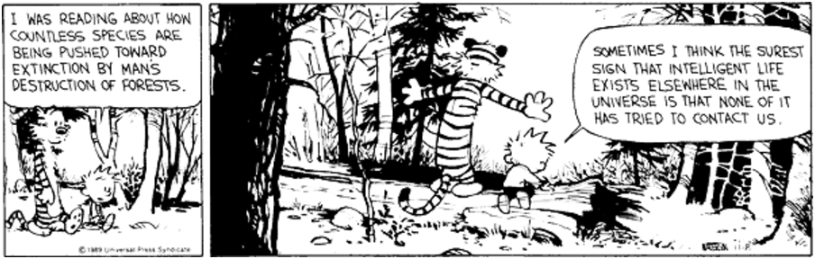 Calvin e Hobbes caminham por uma floresta e Calvin especula sobre vida inteligente em outras partes do universo.