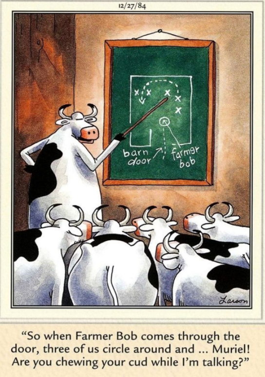 Vacas discutem um plano para ultrapassar o fazendeiro Bob em The Far Side.