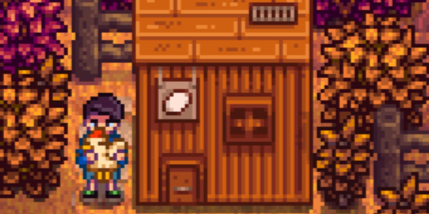 Shane fica em sua área atrás da casa da fazenda após o casamento, enquanto segura seu frango Charlie.