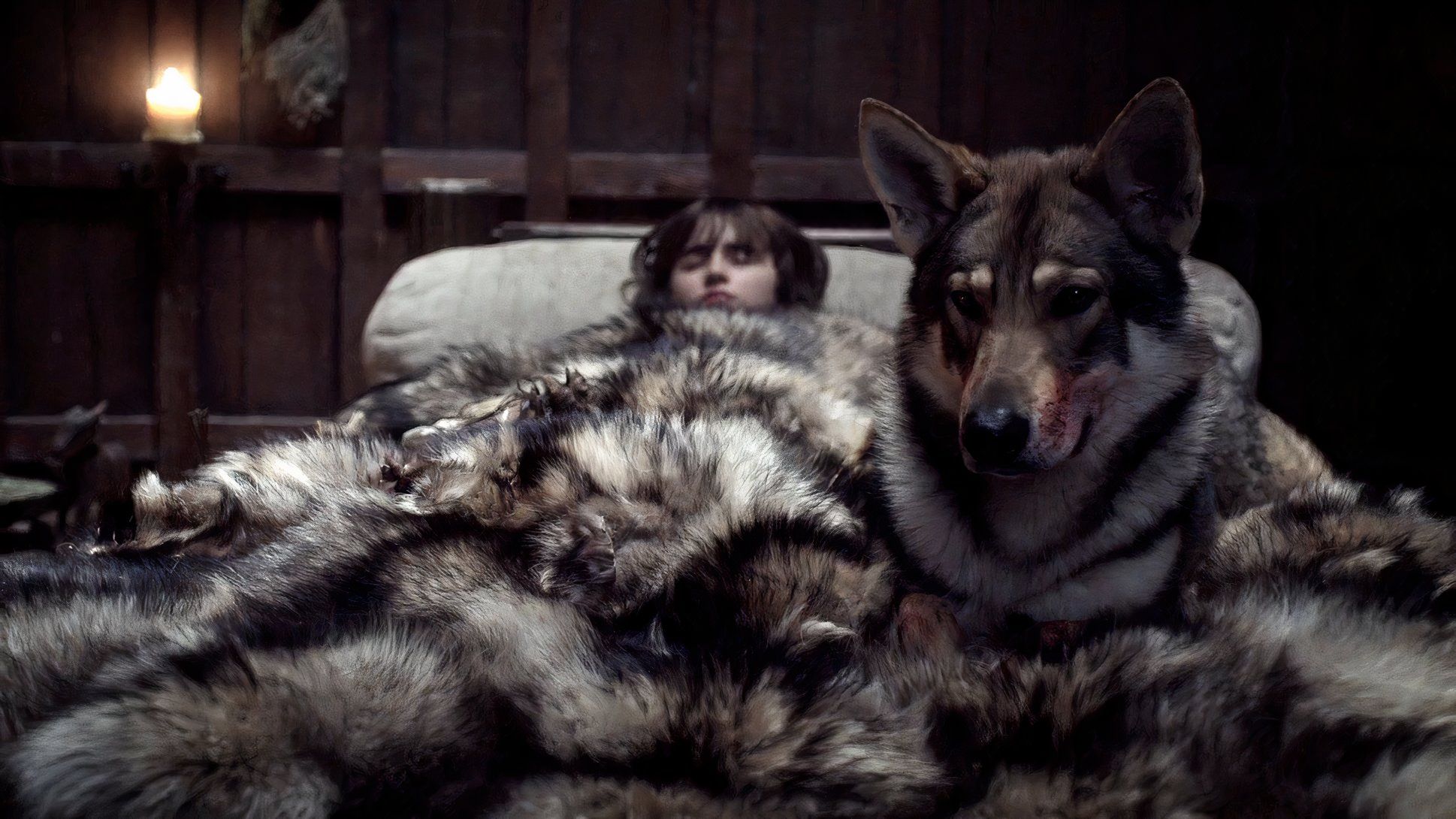 Summer watching over Bran in Game of Thrones