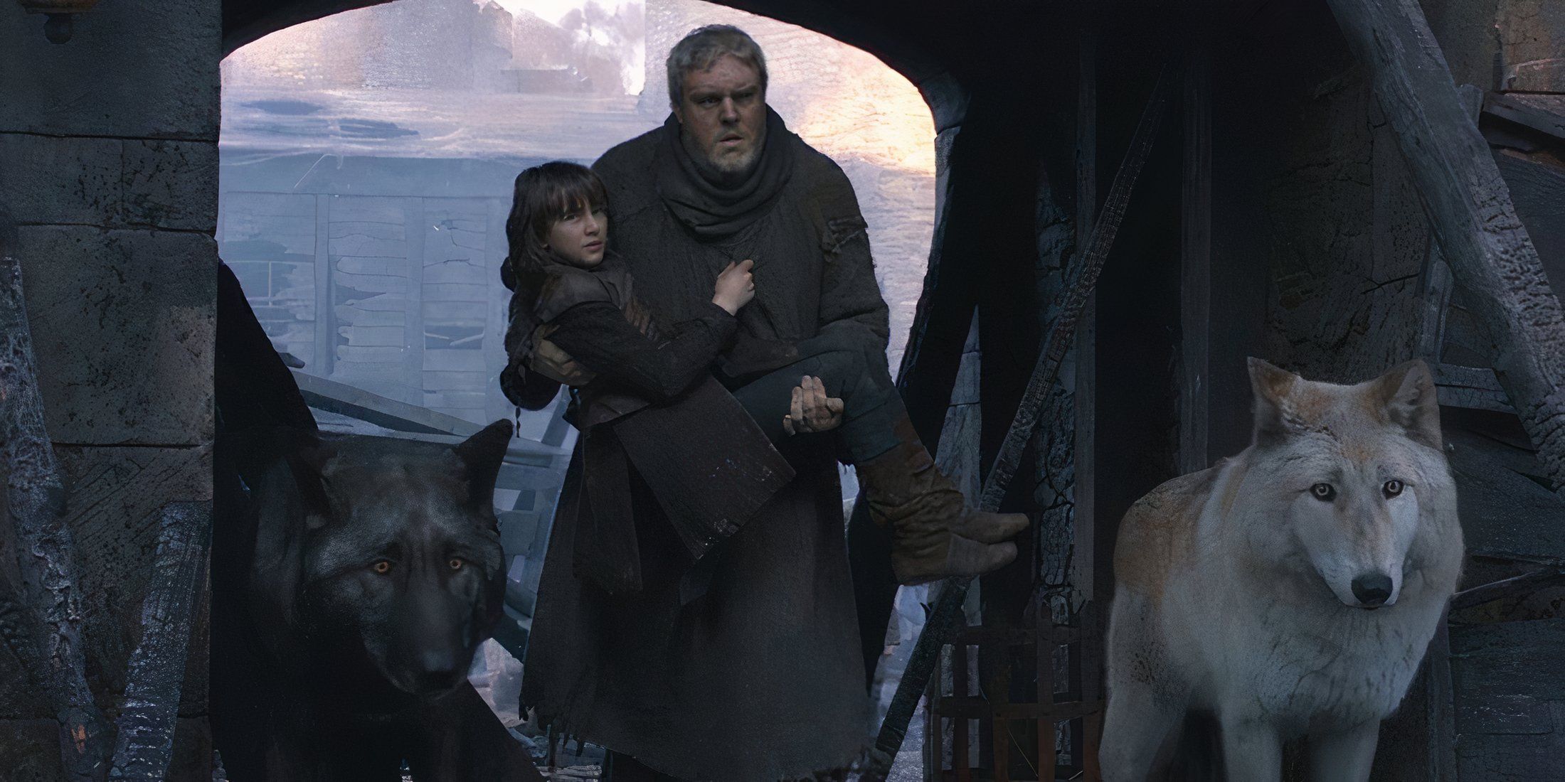 Shaggydog, Summer, Hodor and Bran in Game of Thrones