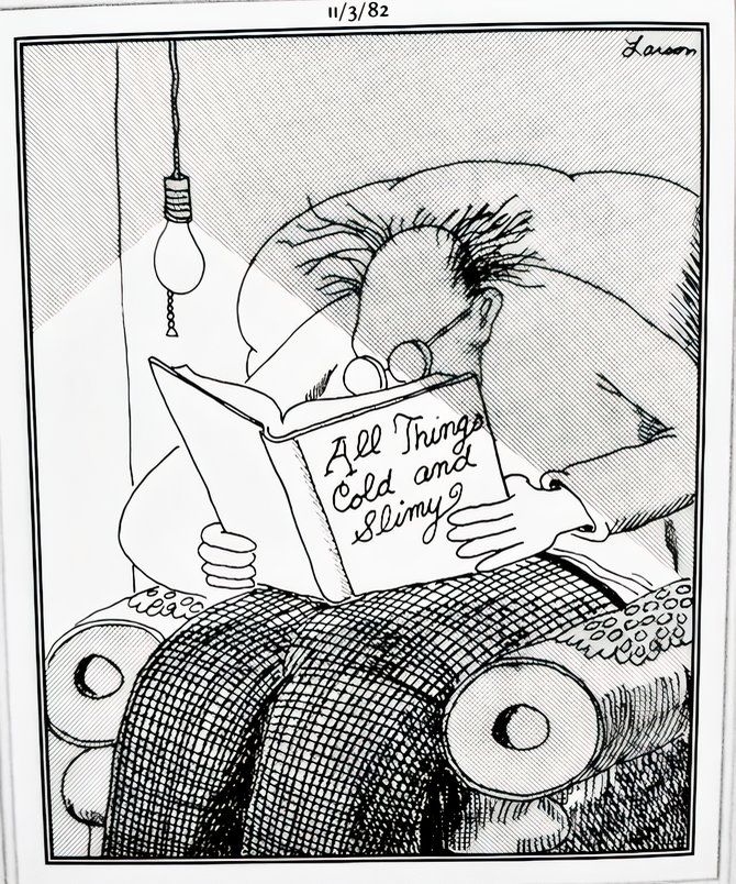 10 Most Confusing The Far Side Comic Strips