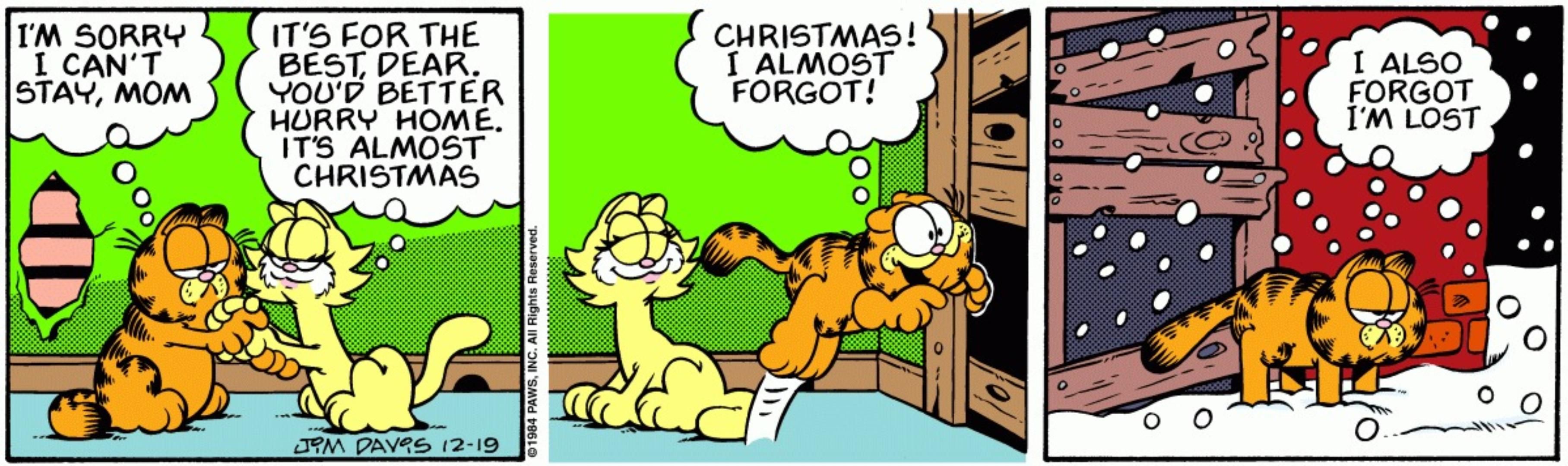 Garfield tem que voltar para casa no Natal