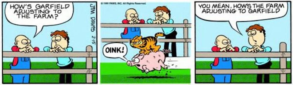 Garfield monta um porco na fazenda enquanto Jon conversa com seu pai em uma cerca.