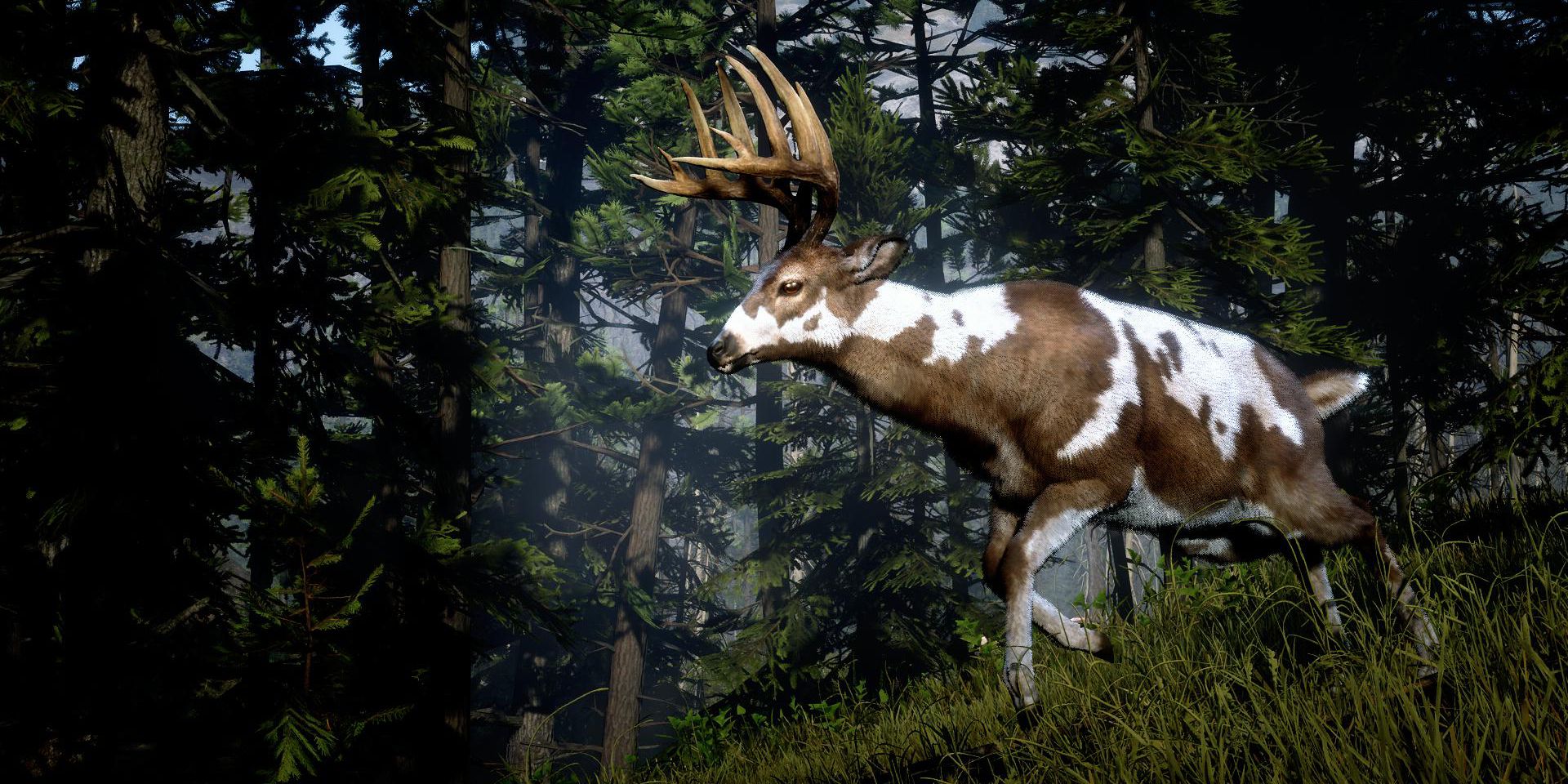 The Legendary Buck, Obie, vagando por uma área arborizada em Red Dead Redemption 2