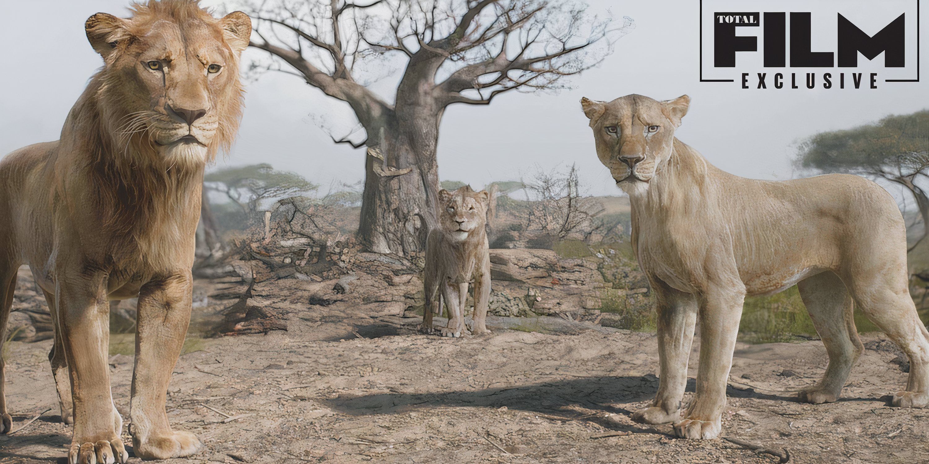 Sarabi and Taka join Mufasa in the prequel The Lion King.