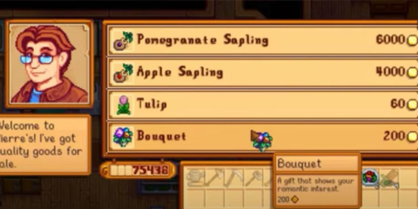 Comprando um buquê na Loja do Pierre em Stardew Valley.