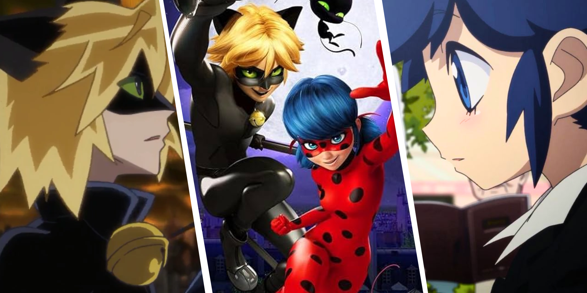 Custom Image of CatNoir, CatNoir and Miraculous Ladybug, Miraculous Ladybug