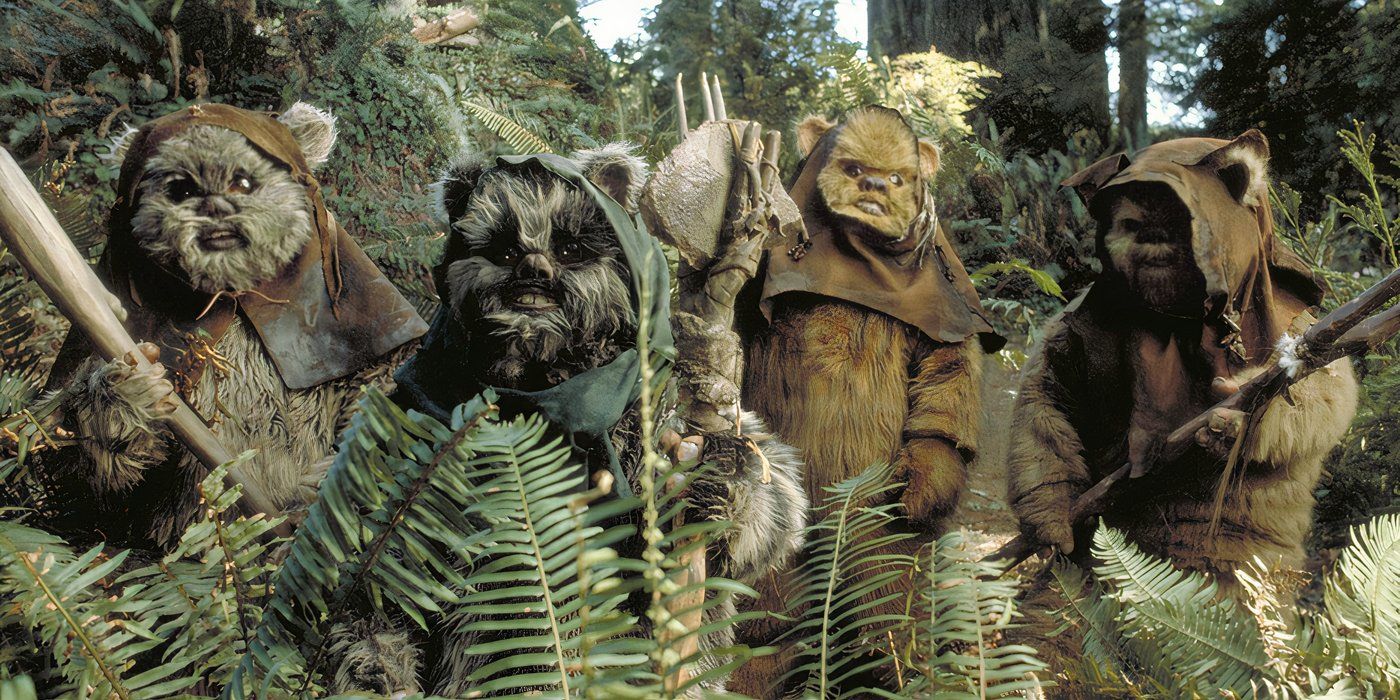 Os Ewoks encontram Leia na floresta de Endor em O Retorno dos Jedi.