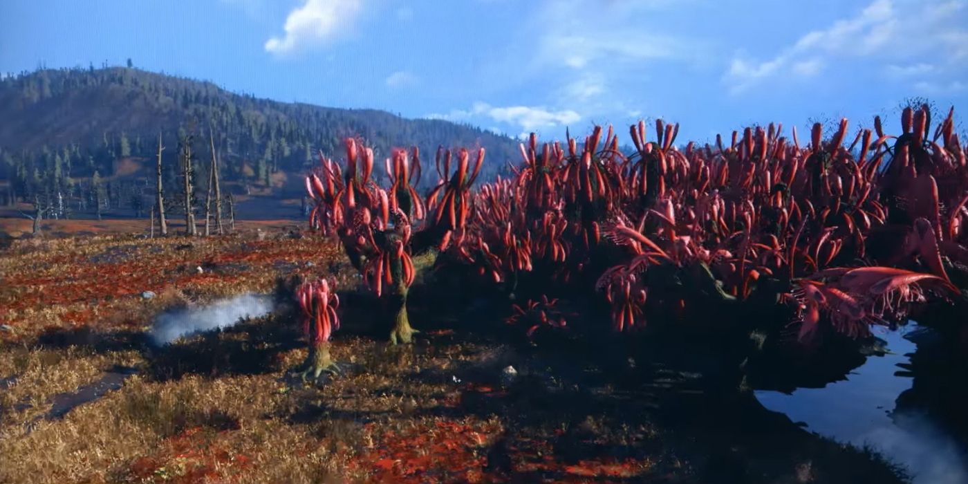 Fallout 76 Pântano de Cranberry