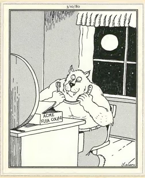 História em quadrinhos do Far Side mostrando um lobisomem colocando uma coleira contra pulgas