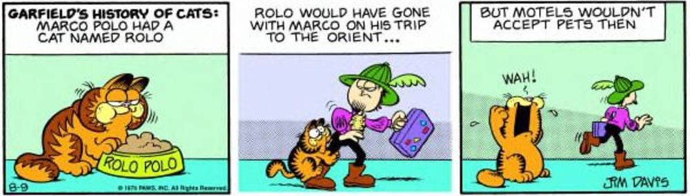 Garfield fica sabendo que não pode viajar com Marco Polo.