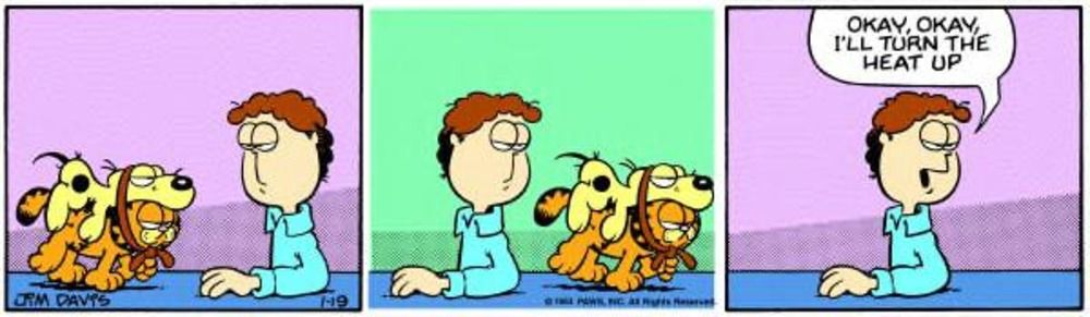 Garfield usa Odie como um casaco.