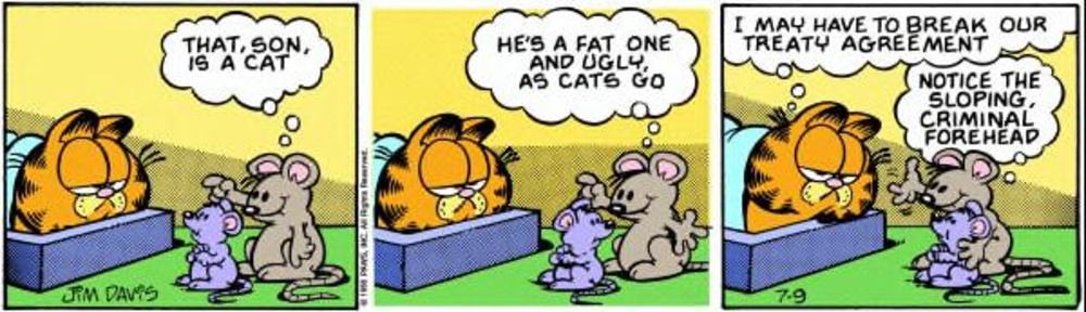 Garfield é mostrado por um mouse.