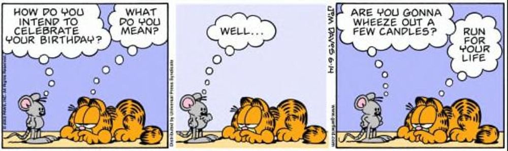 Garfield é provocado por um rato sobre seu próximo aniversário.