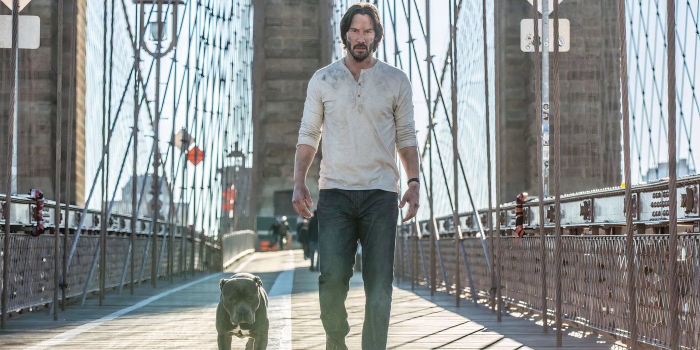 John Wick desfruta de um momento de vitória com seu cachorro antes que mais batalhas o encontrem em John Wick.