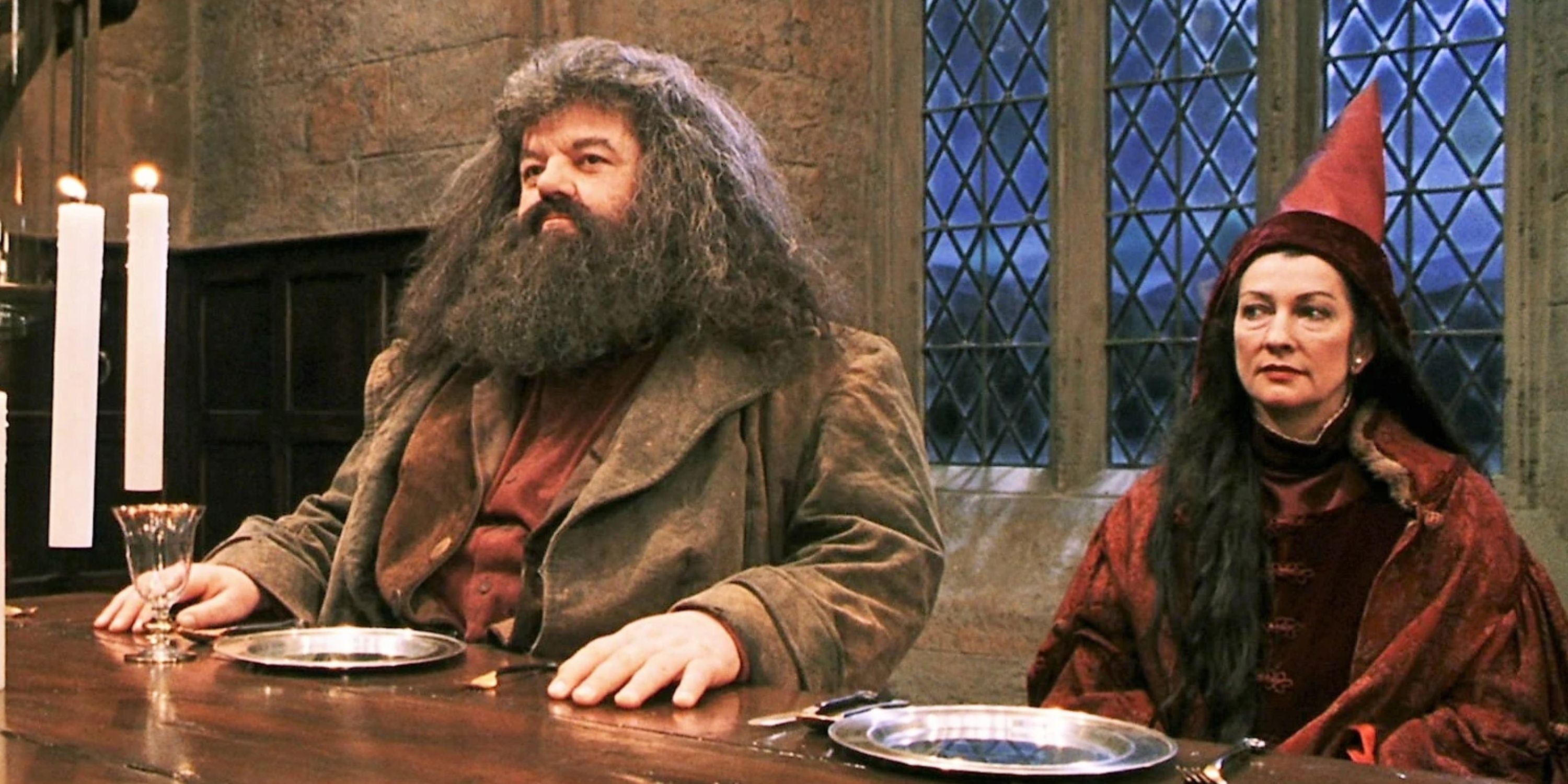 Professor vetor sentado ao lado de Hagrid em Harry Potter e a Pedra Filosofal