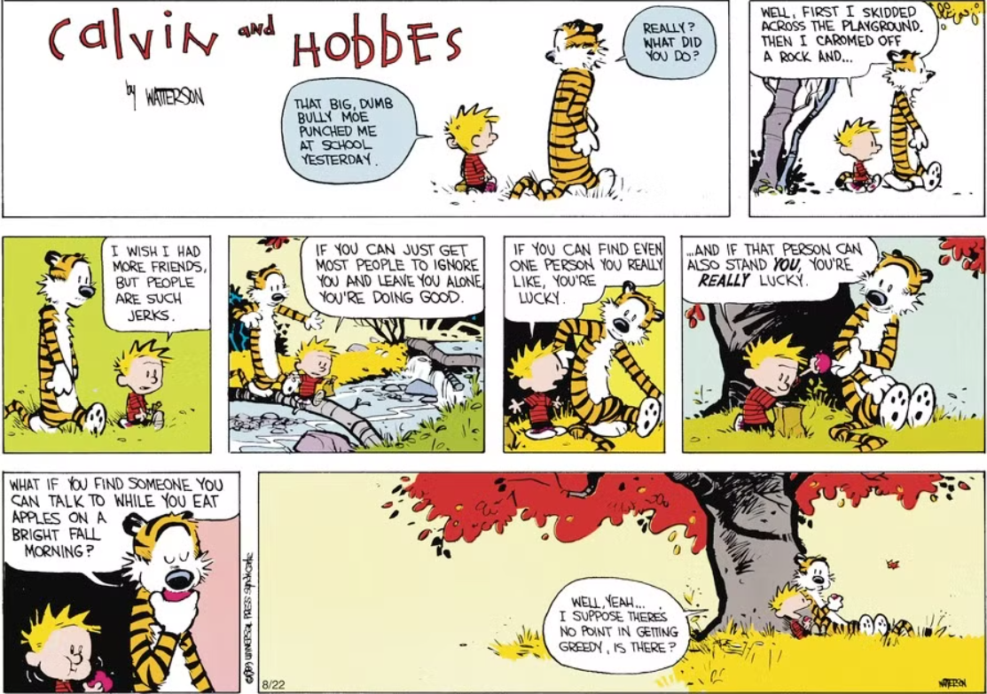 Calvin le explica a Hoobes lo importante que es tener un buen amigo en Calvin y Hobbes.