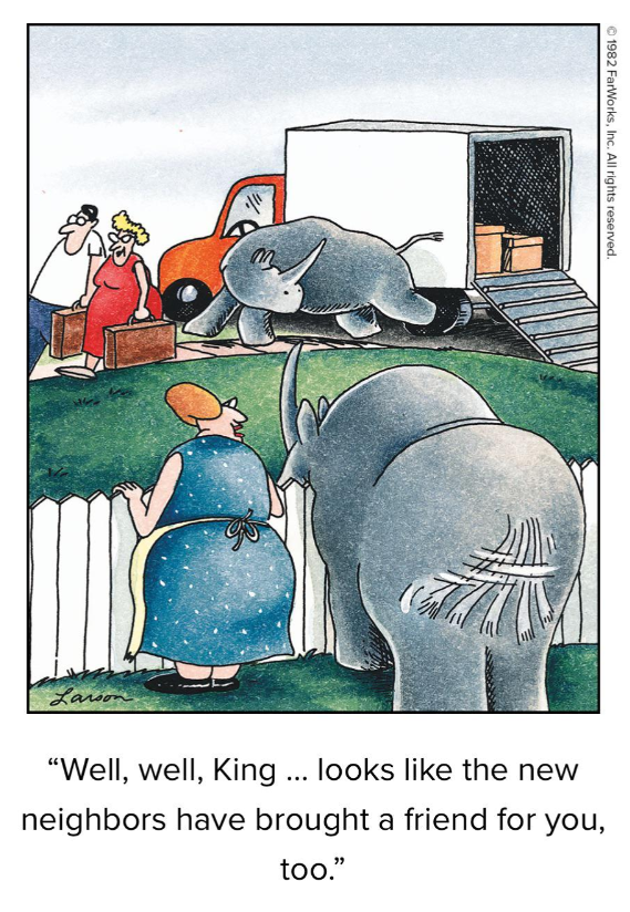 King, o animal de estimação Rhino, está feliz em ver um novo amigo em The Far Side.