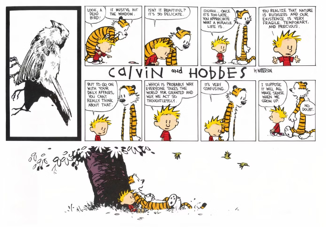 Calvin e Hobbes encontram um pássaro morto lá fora e Calvin se pergunta sobre a mortalidade.