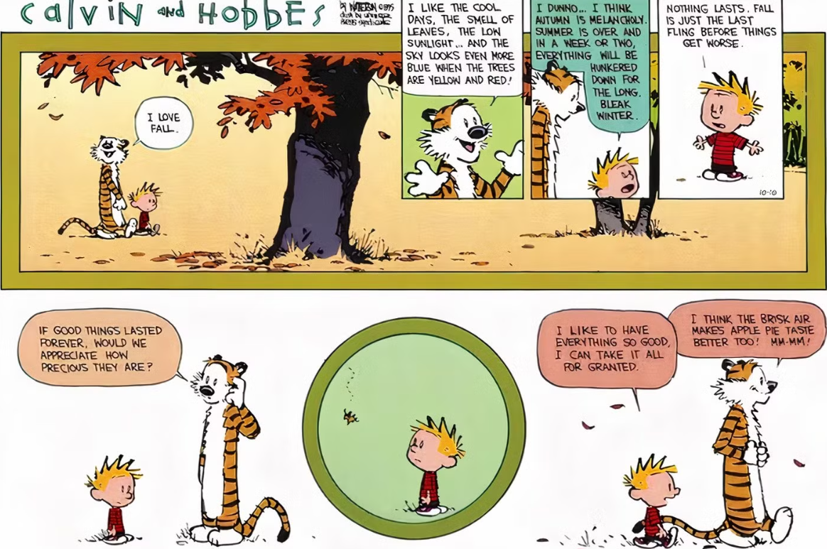 Calvin e Hobbes dão um passeio e discutem o outono.