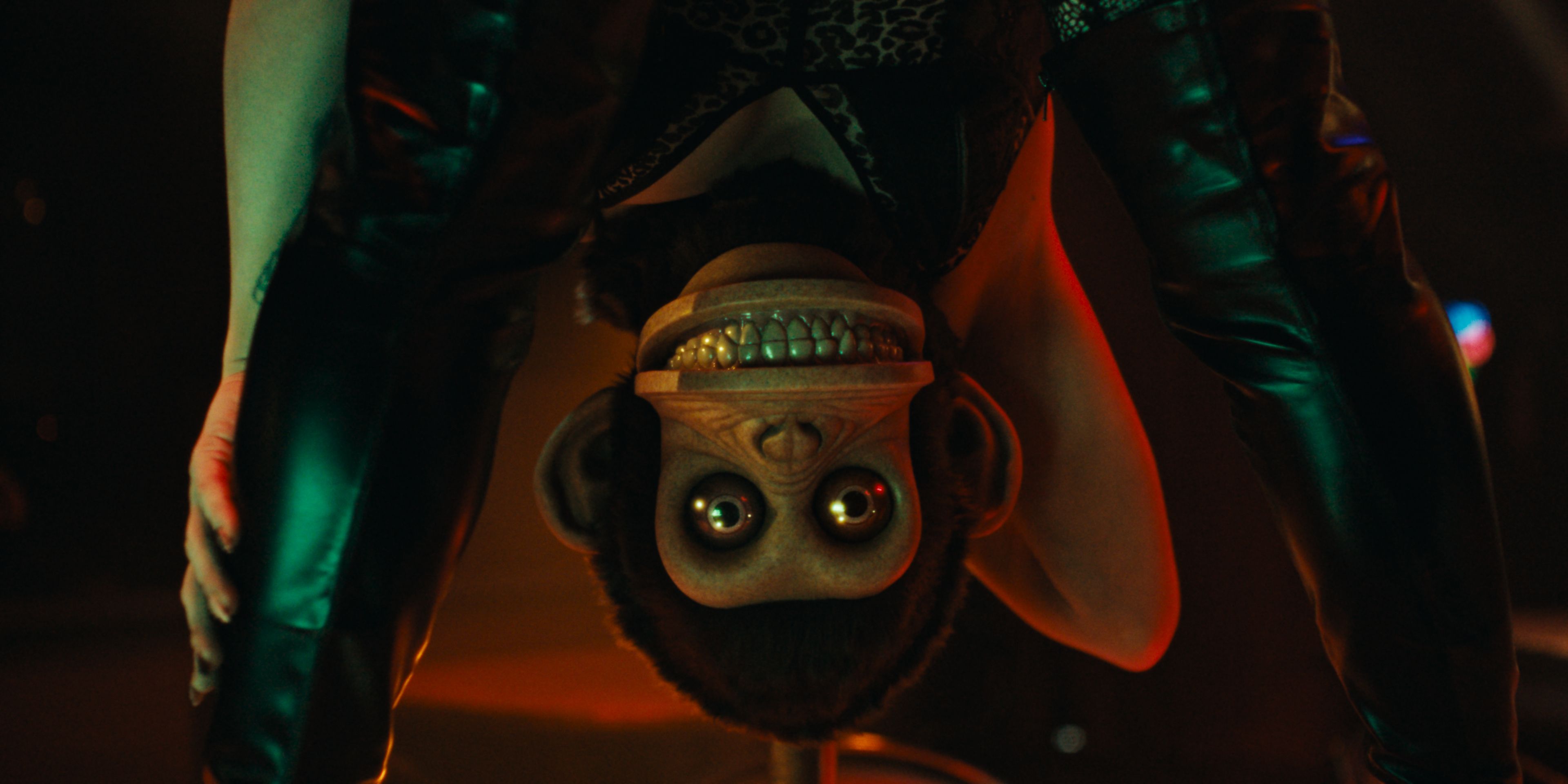 The Monkey Is a Gruesome Horror-Comedy With a Honest Message