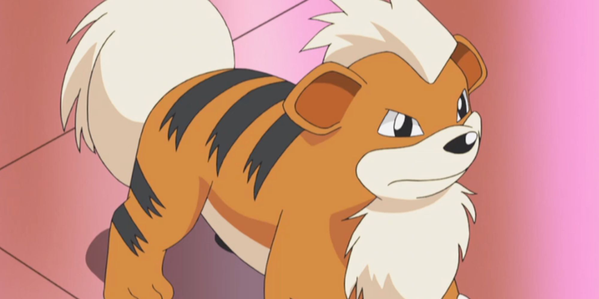 Pokémon Anime'de bir Growlithe