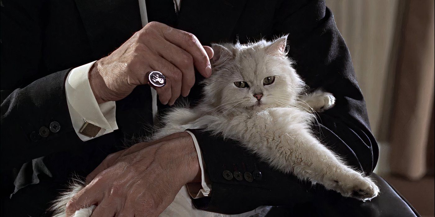 Blofeld holds his cat at a meeting with Spectre. 