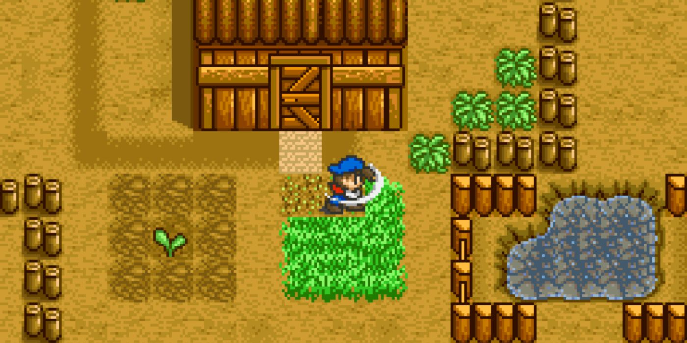 Un jugador cortando hierba en Harvest Moon (SNES)