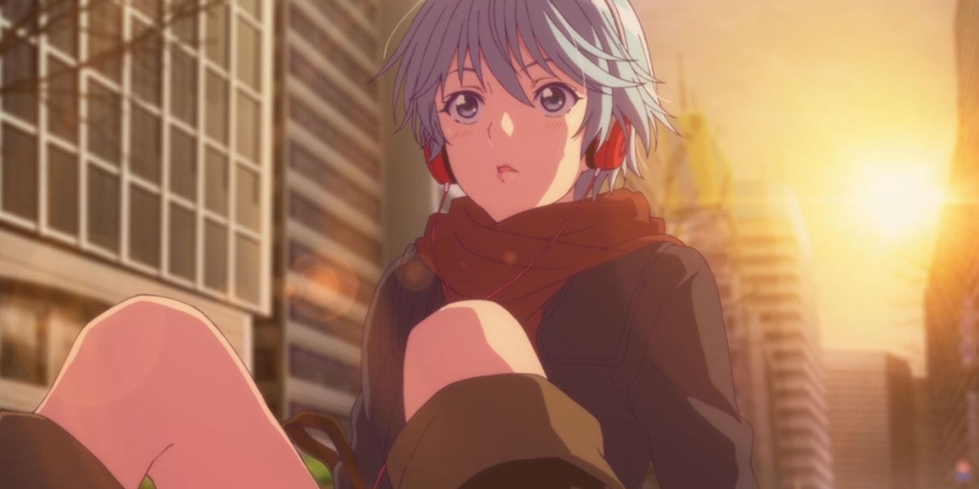 فوكا تجلس في فوكا