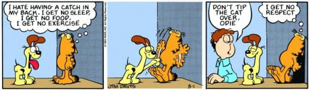 Garfield é apontado por Odie.