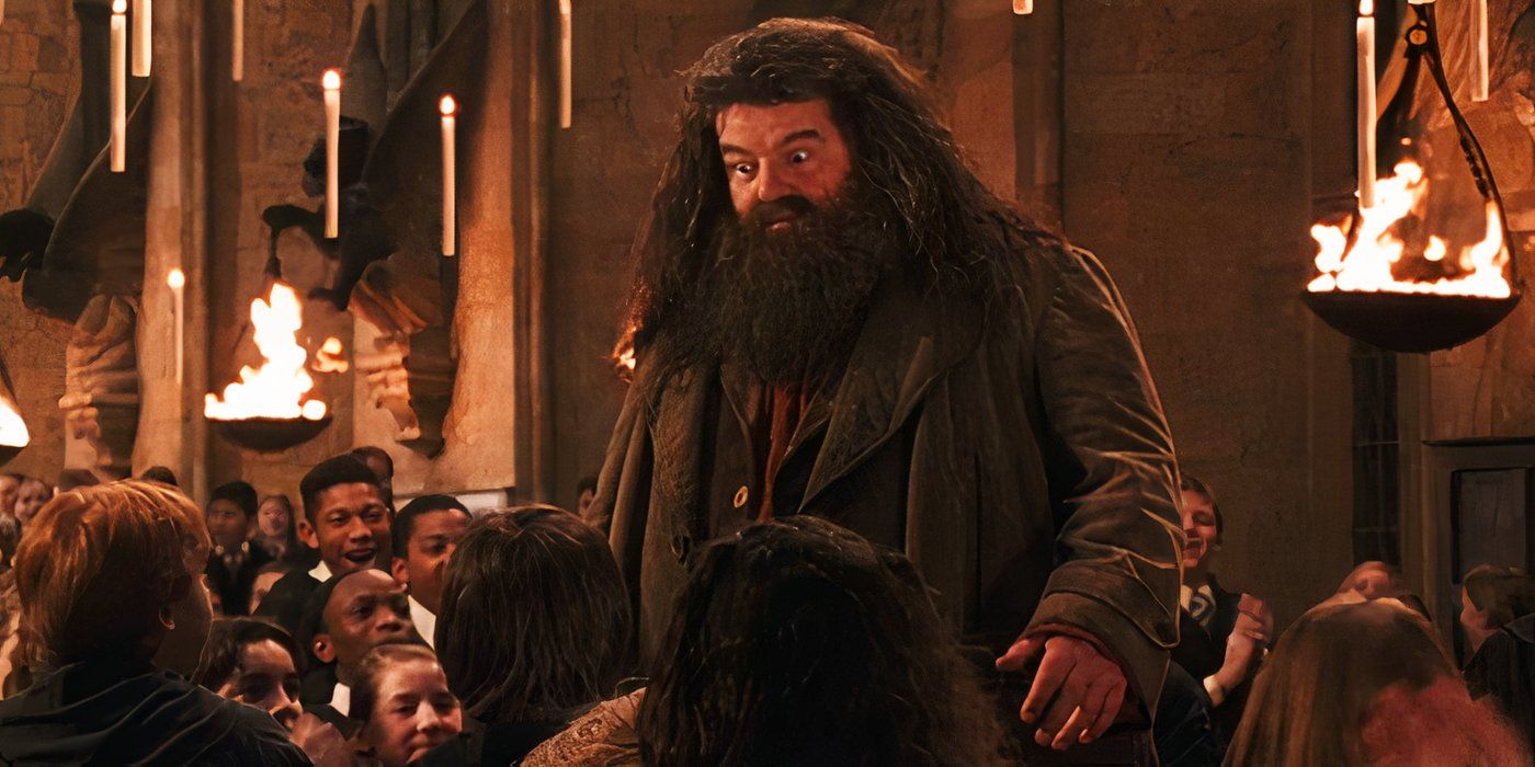 Hagrid'e Hogwarts'taki tüm öğrencilerden büyük bir karşılama verilir.