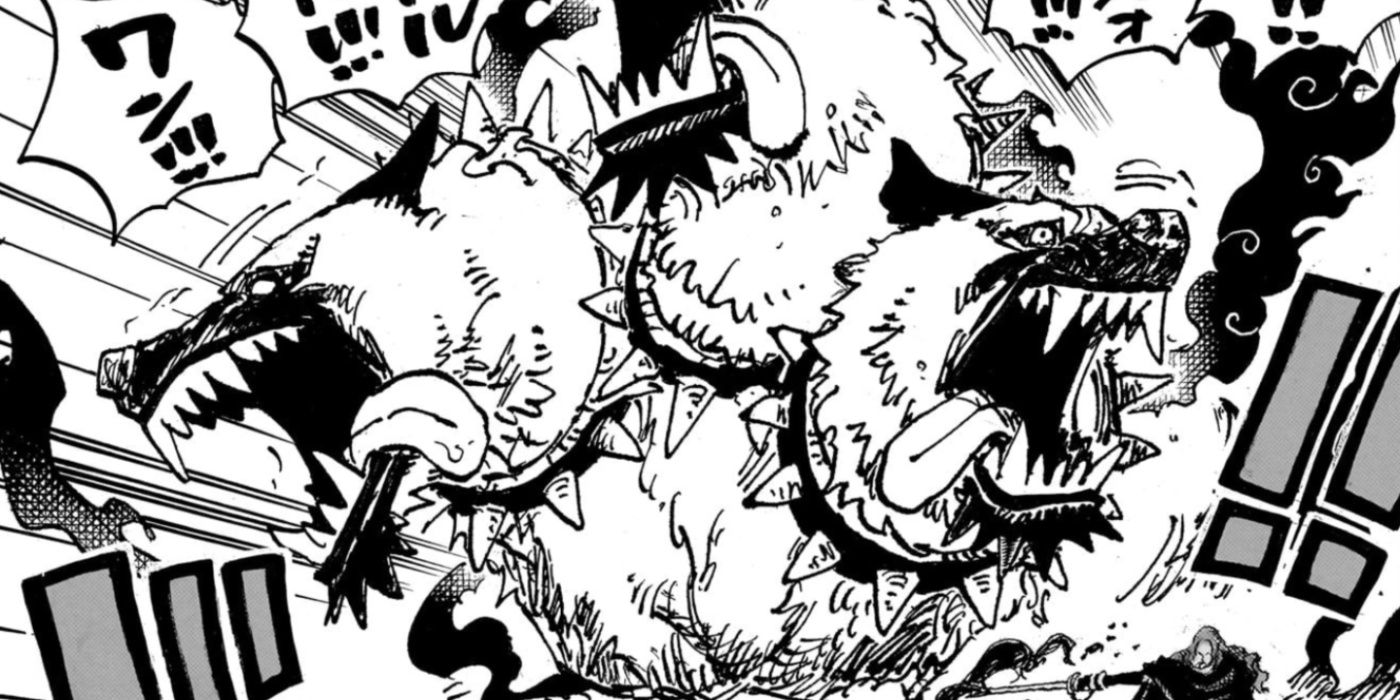 Shamrock Figarland, One Piece Manga'da Cerberus'u serbest bıraktı