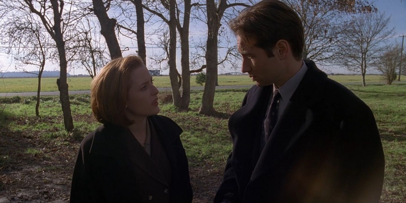 Mulder and Scully in Schizogeny
