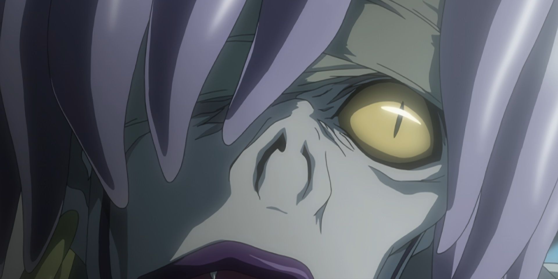 rem closeup