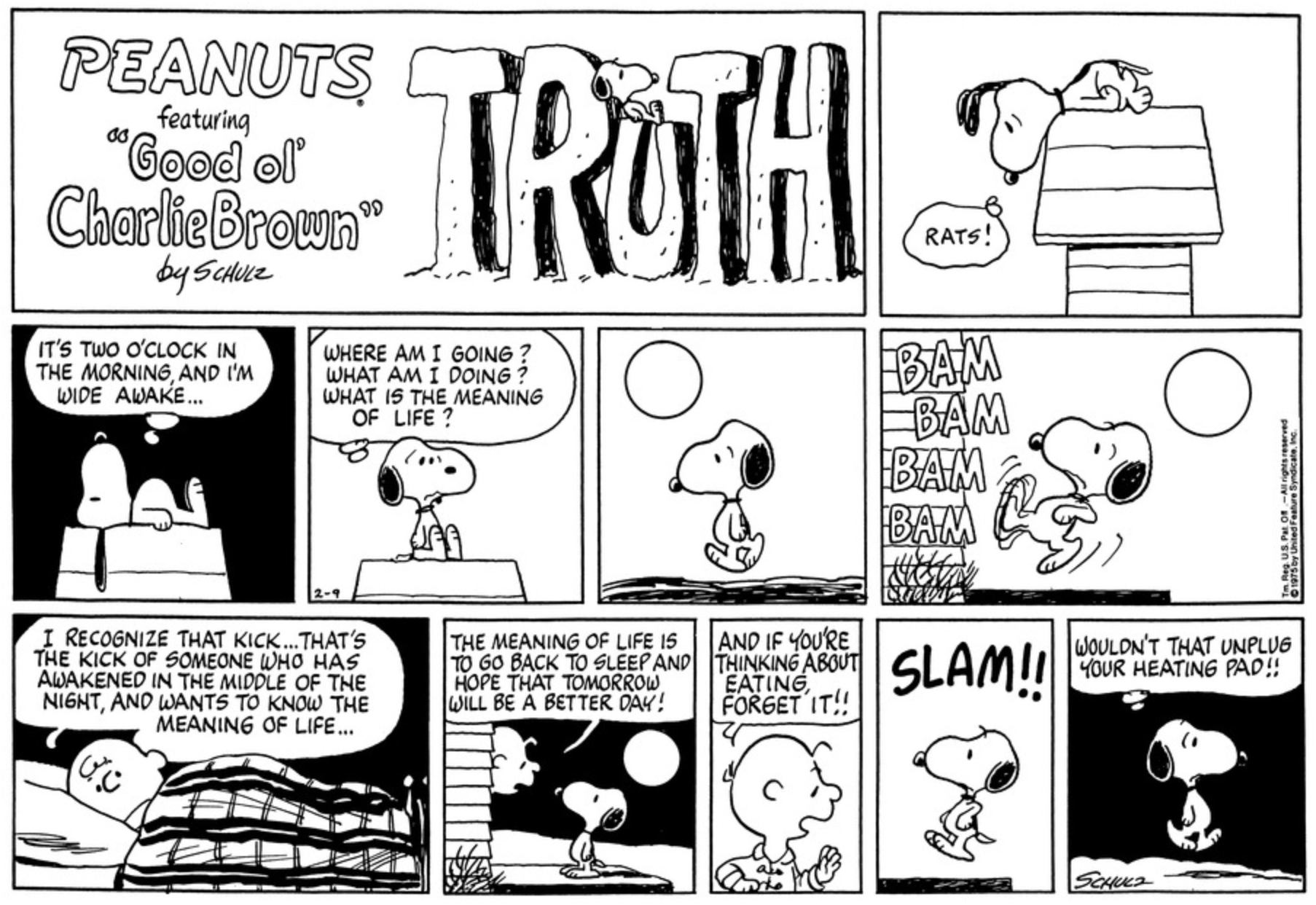 Charlie Brown Knows the Meaning of Life After Snoopy Wakes Him in Peanuts