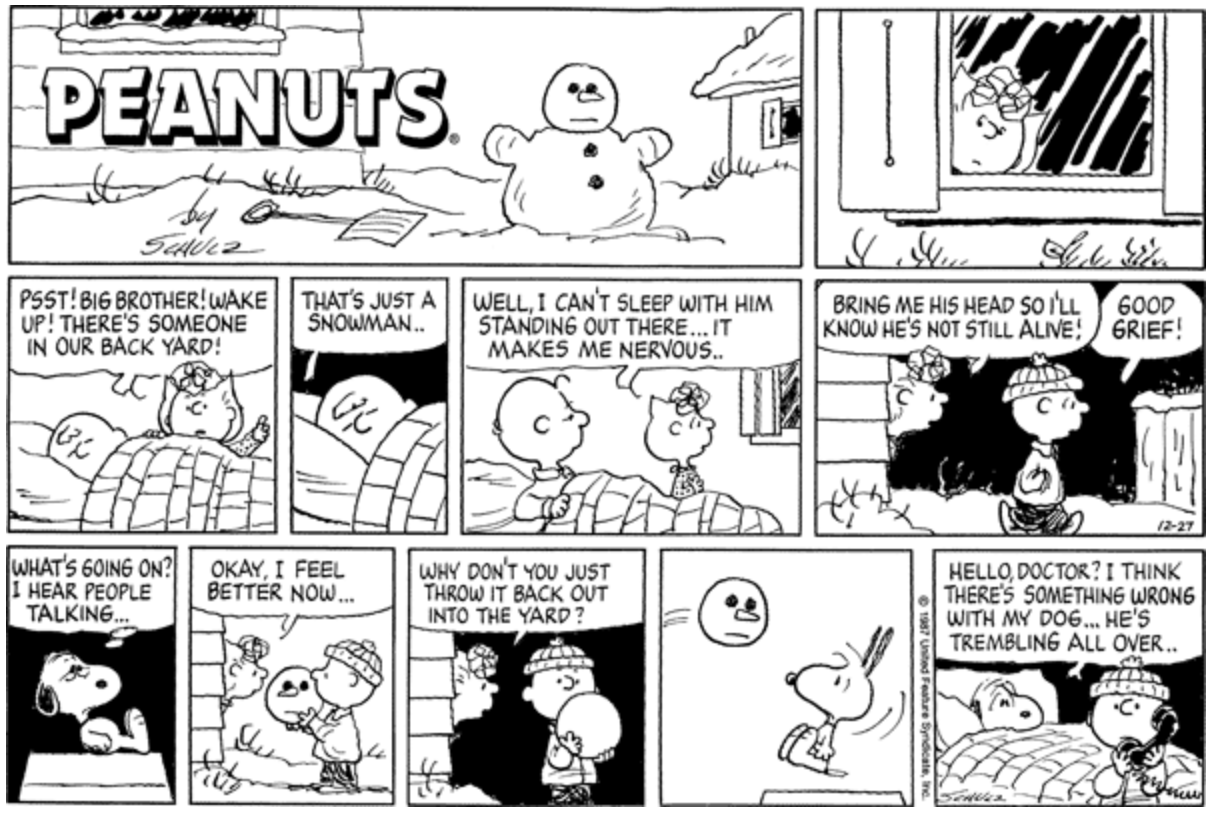 Sally Wakes Charlie Brown About a Snowman in Peanuts