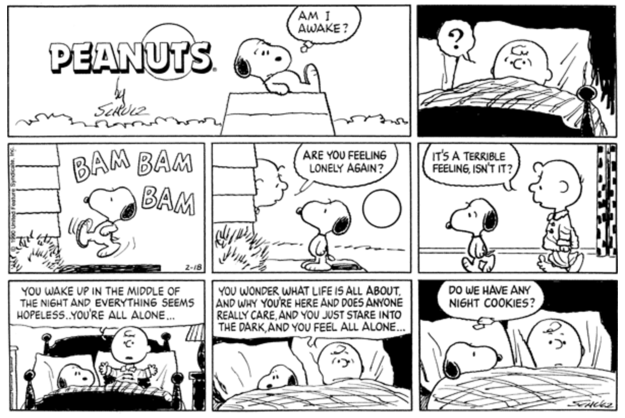 Charlie Brown Makes Snoopy Less Alone in Peanuts